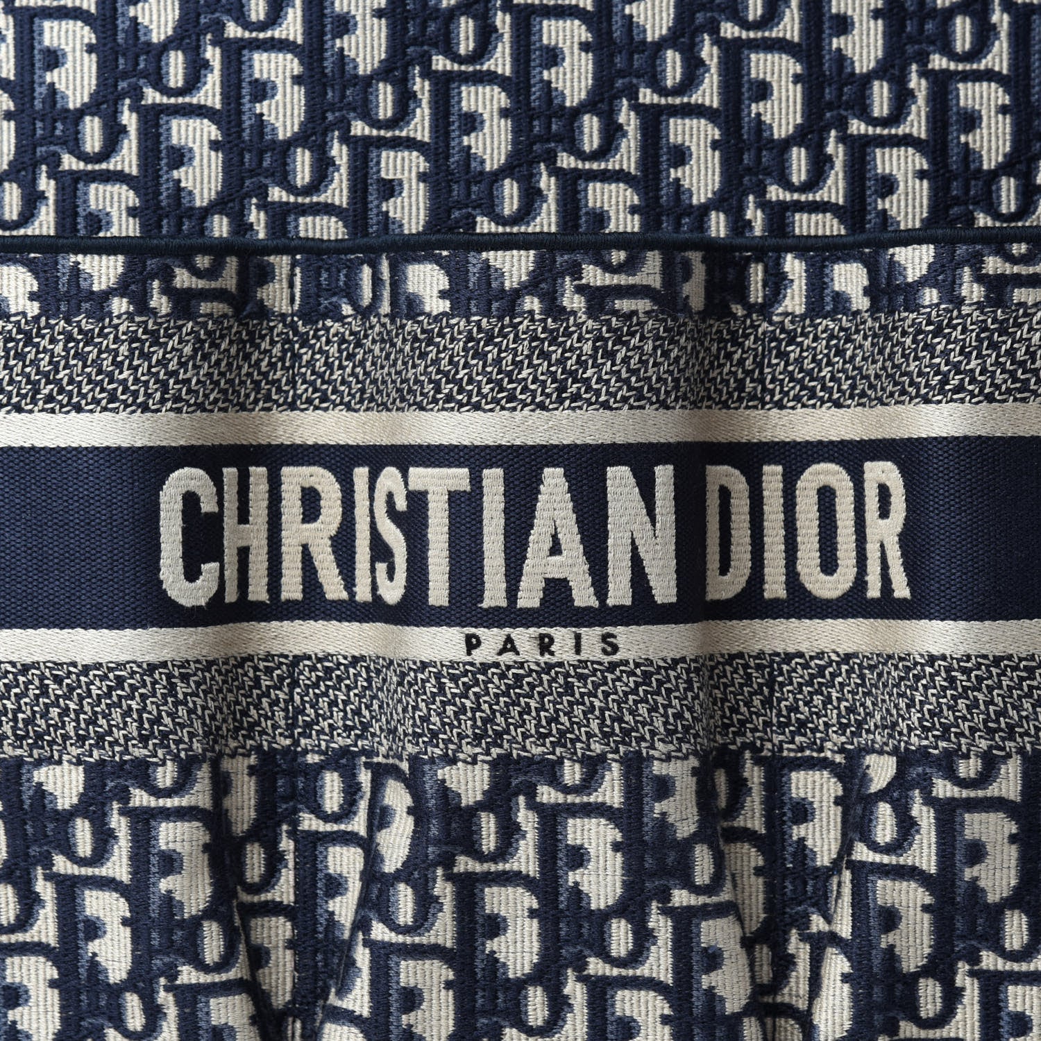 Christian Dior Oblique Catherine Tote Blue 12 of 12