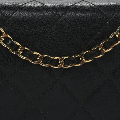 Chanel Sheepskin Quilted Mini Vintage Mademoiselle Wallet On Chain WOC Black 9 of 14