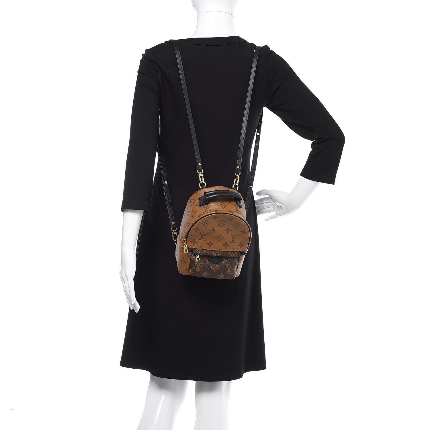 Louis Vuitton Reverse Monogram Palm Springs Backpack Mini 2 of 13