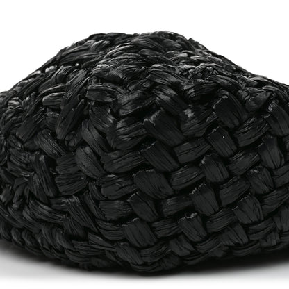 The Row Raffia Estelle Two Bag Black 9 of 9