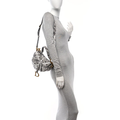 Christian Dior Calfskin Plan De Paris Printed Saddle Bag With Strap White Black 2 of 10