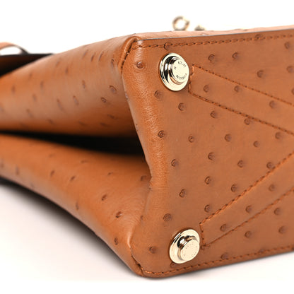 Louis Vuitton Ostrich Rose Des Vents PM Cognac 9 of 11