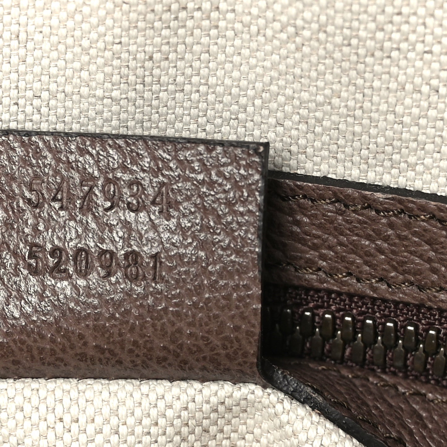 GG Supreme Monogram Web Medium Ophidia Messenger Bag Brown