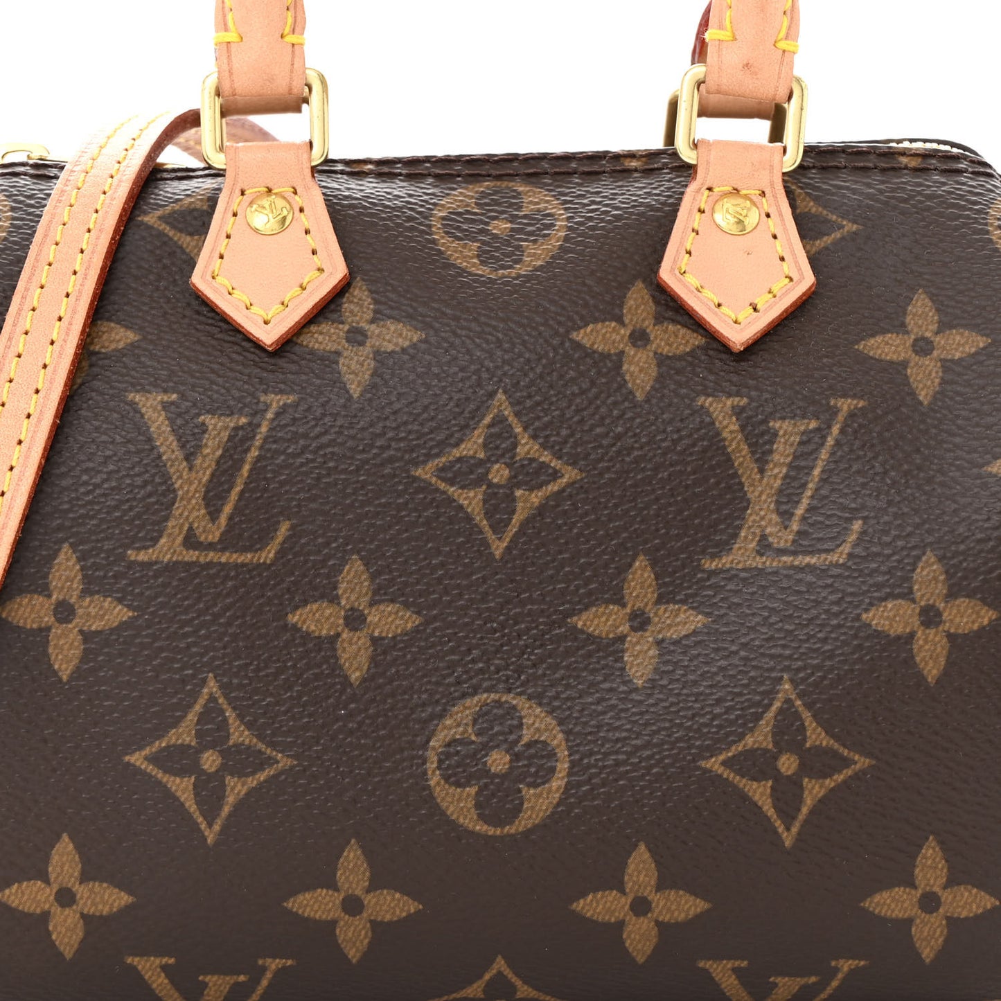 Monogram Nano Speedy
