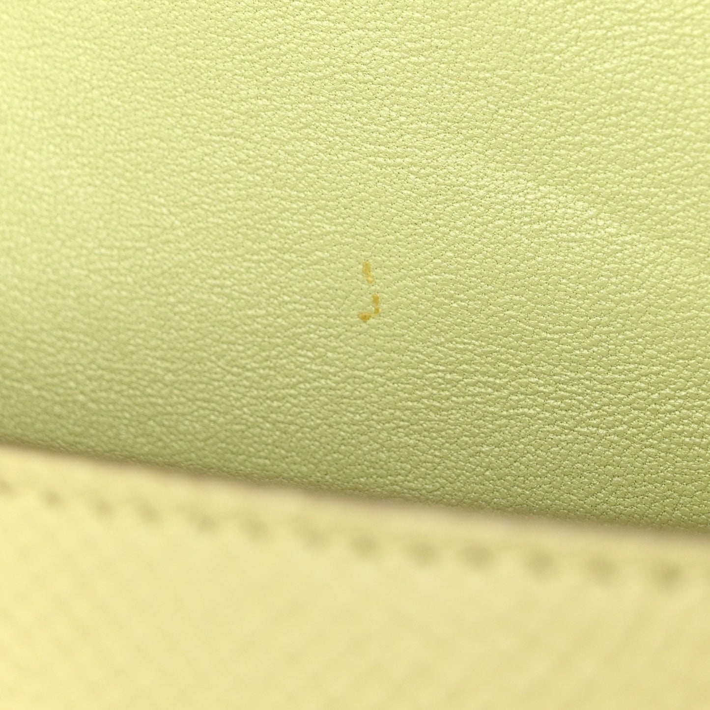 Grained Calfskin Small Trotteur Sage