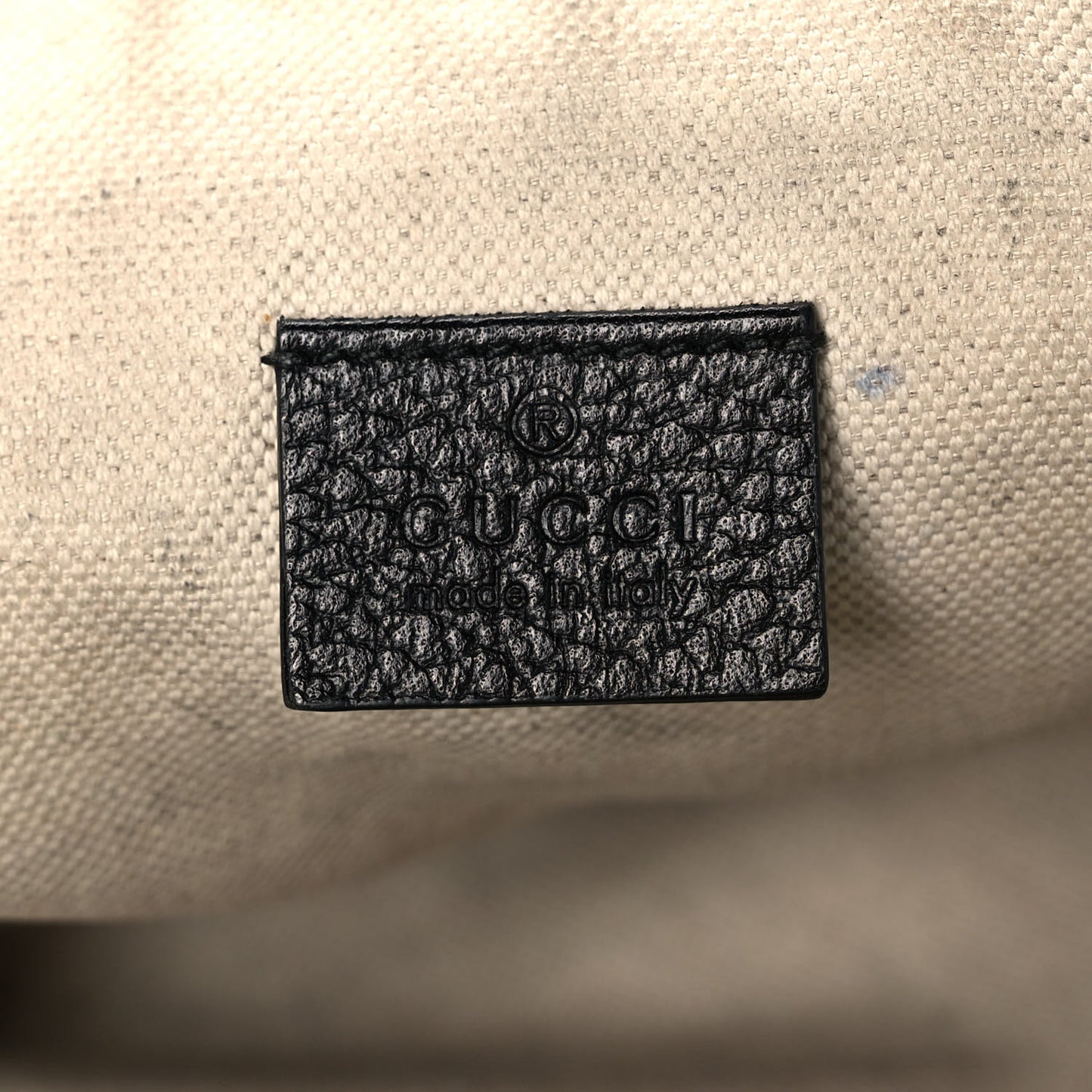 Grained Calfskin Sylvie Web Kingsnake Small Camera Bag Black Multicolor