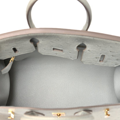 Hermes Ostrich Birkin Sellier 25 Gris Perle 5 of 10