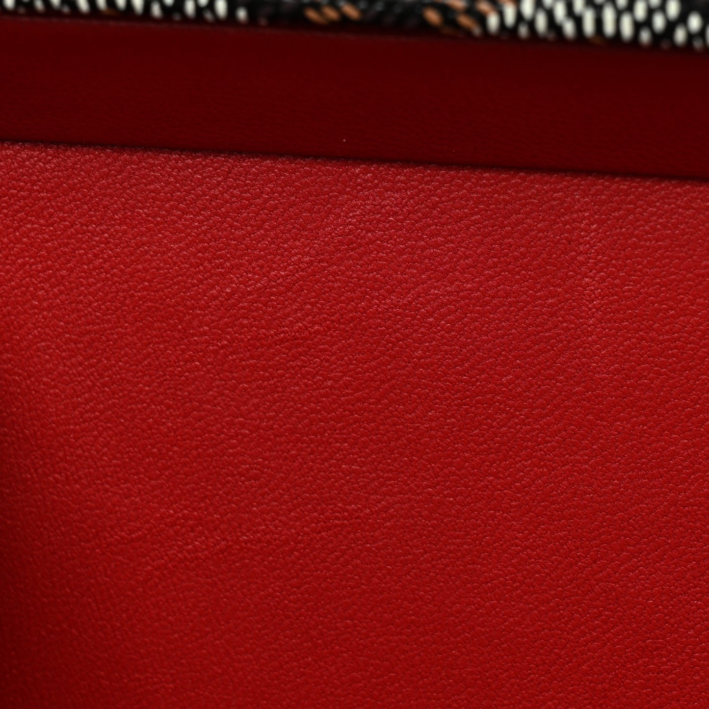 Goyardine Minaudiere Trunk Bag Black
