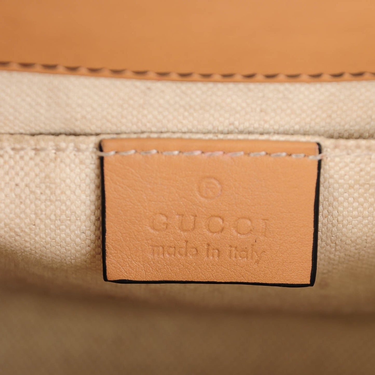 Guccissima Mini Emily Chain Shoulder Bag Camelia