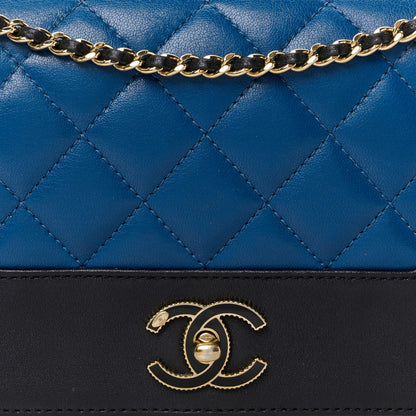 Chanel Sheepskin Quilted Small Mademoiselle Flap Black Blue 9 of 11