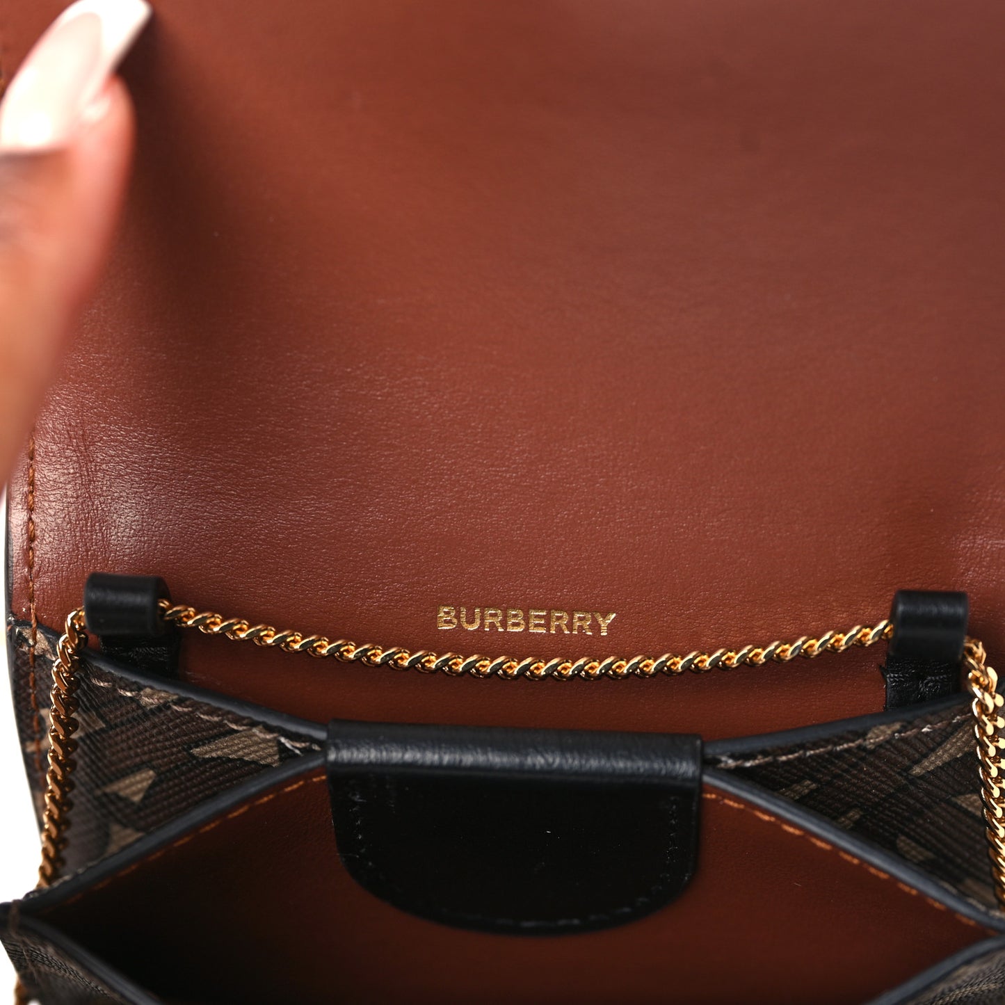 E-Canvas Monogram Stripe Jessie Chain Card Case Bridle Brown