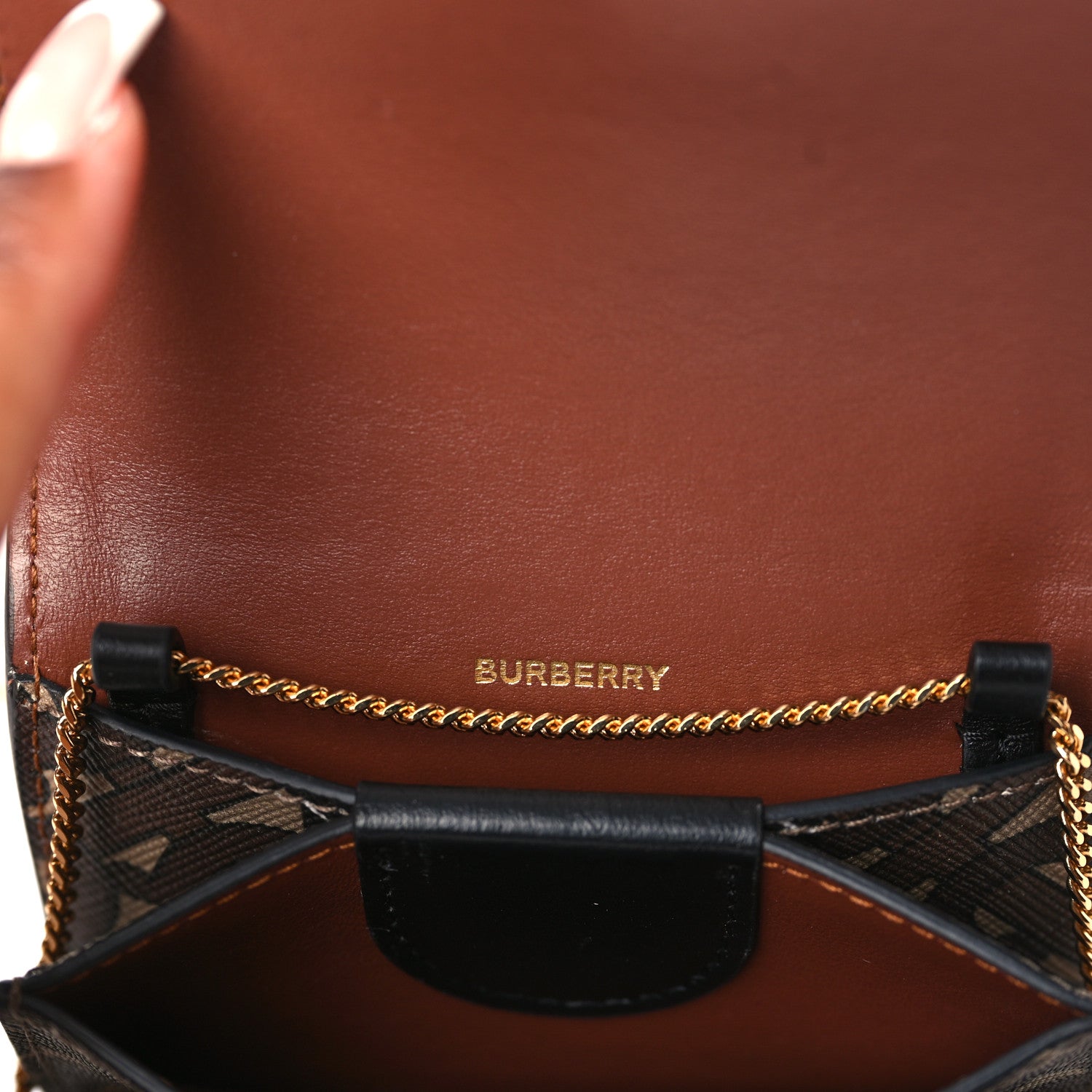 Burberry E-Canvas Monogram Stripe Jessie Chain Card Case Bridle Brown 6 of 8