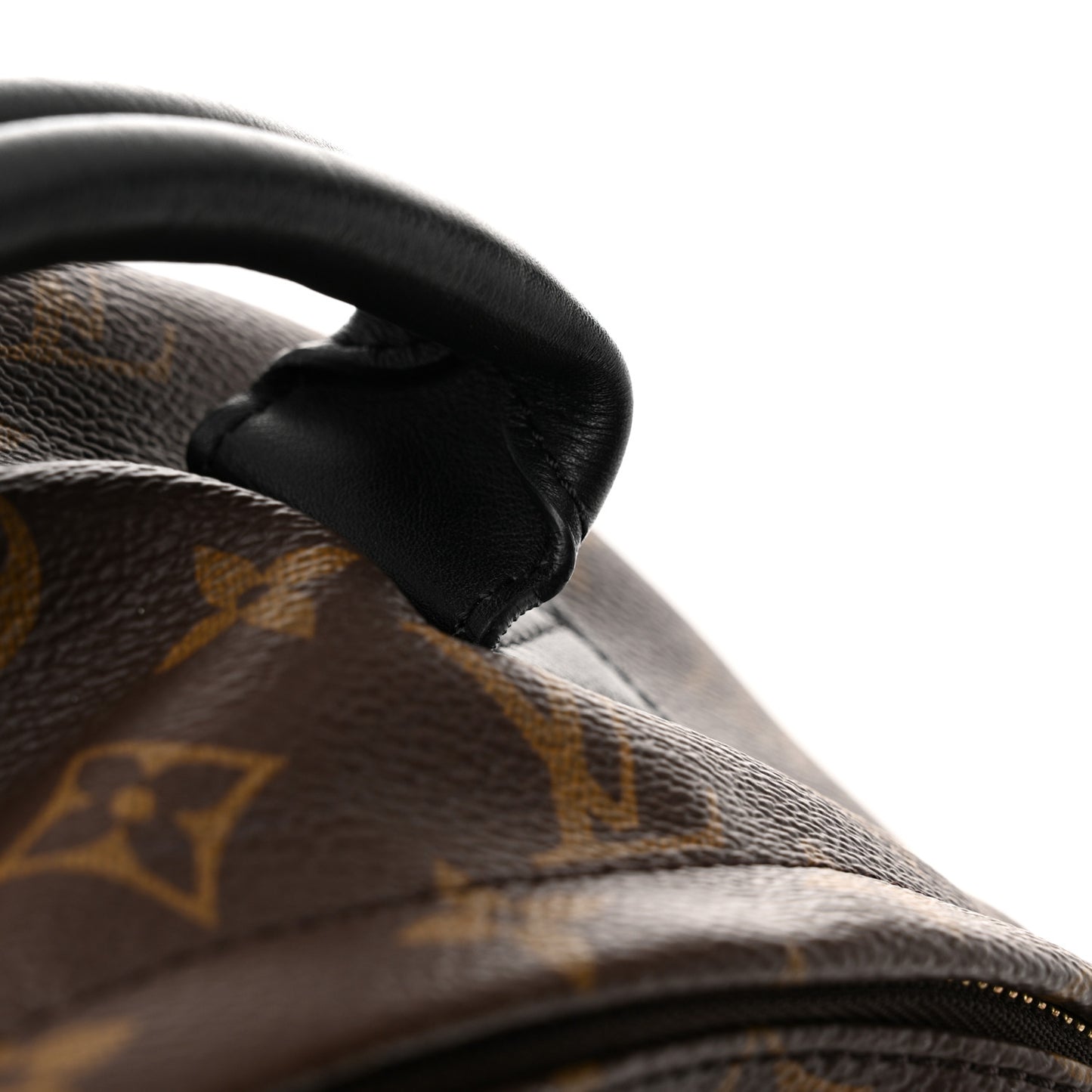 Monogram Palm Springs Backpack MM