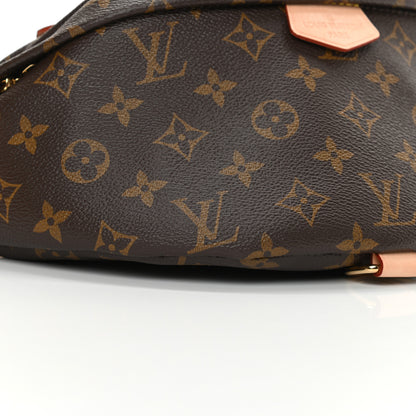 Louis Vuitton Monogram Bumbag 8 of 13