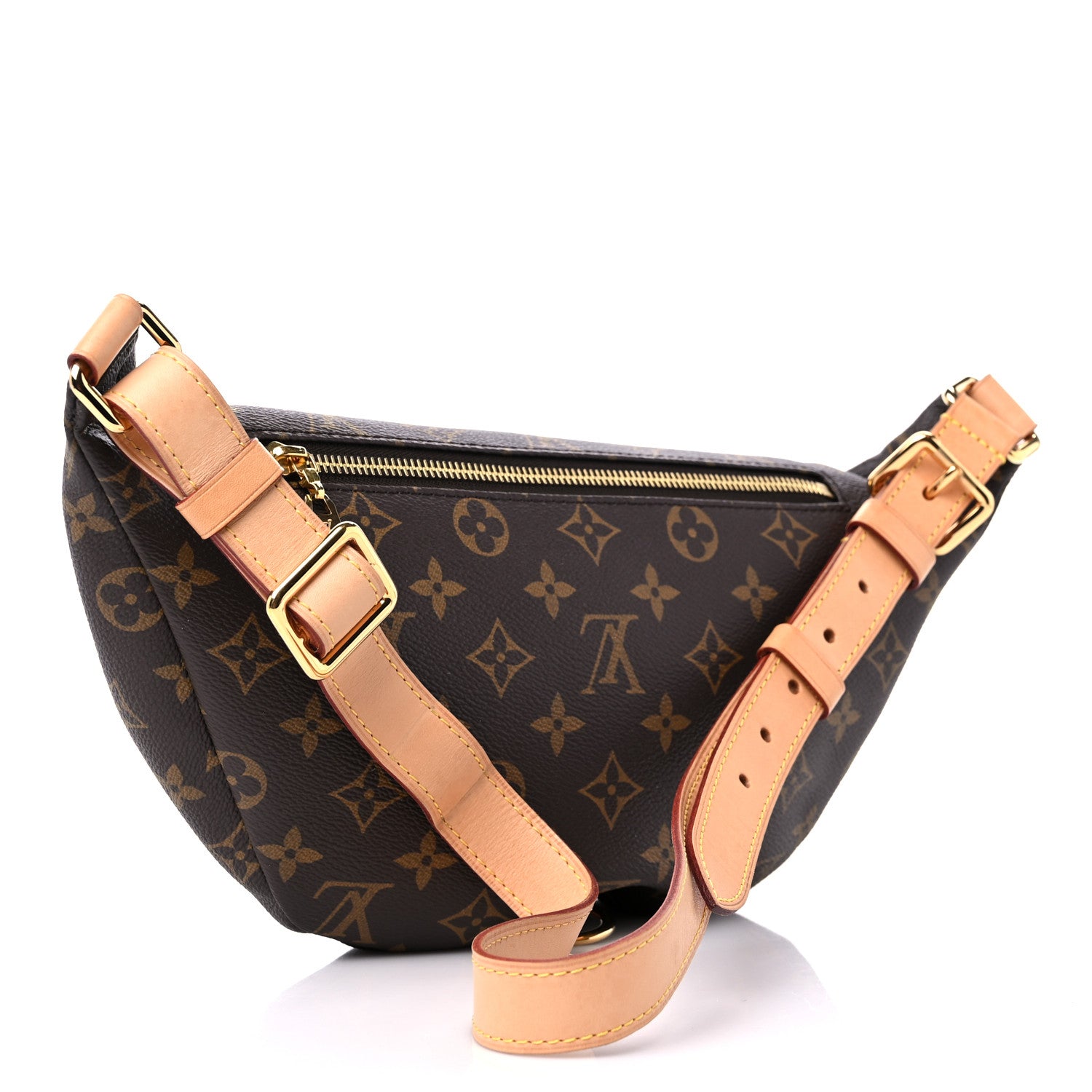 Louis Vuitton Monogram Bumbag 3 of 14