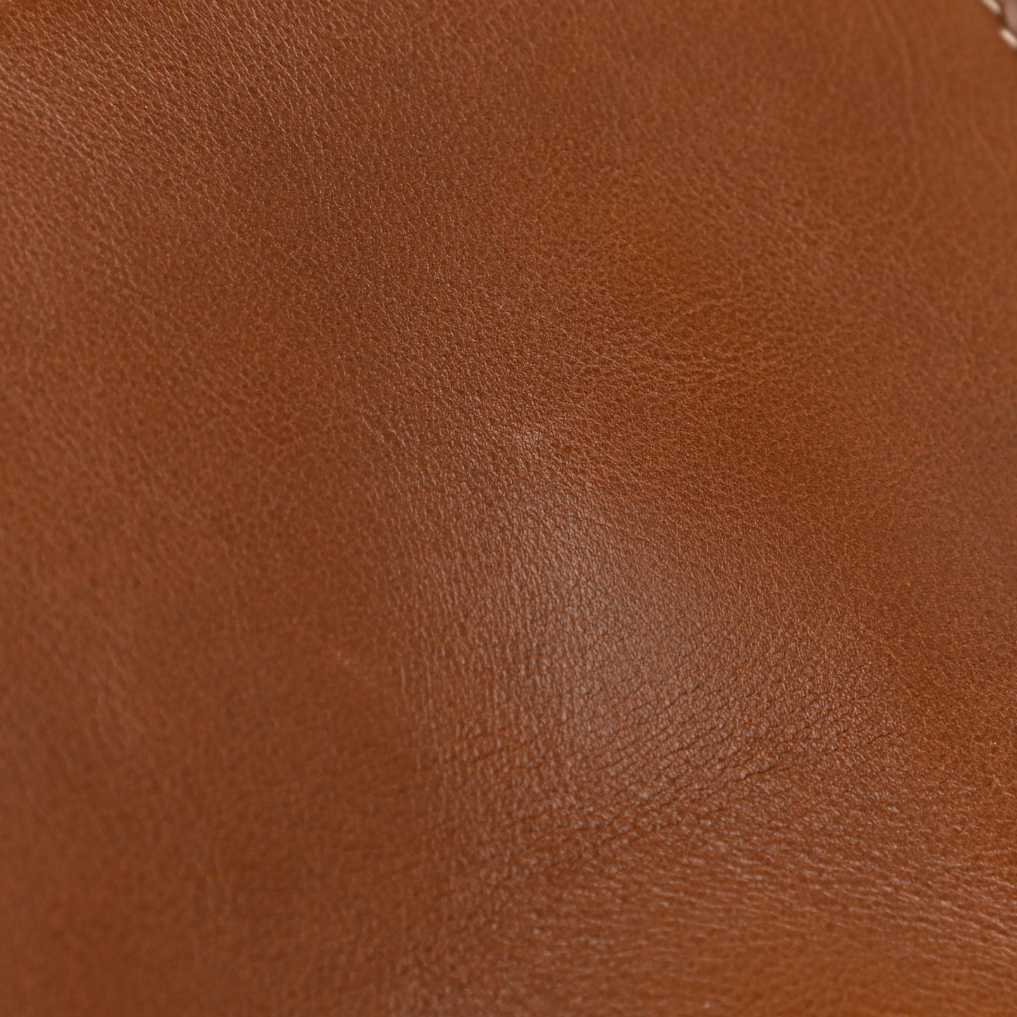 Calfskin Feline GG Marmont Flap Shoulder Bag Cuir