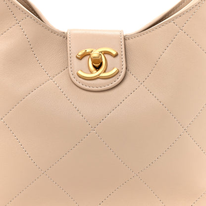 Chanel Shiny Lambskin Quilted Small Hobo Beige 8 of 12