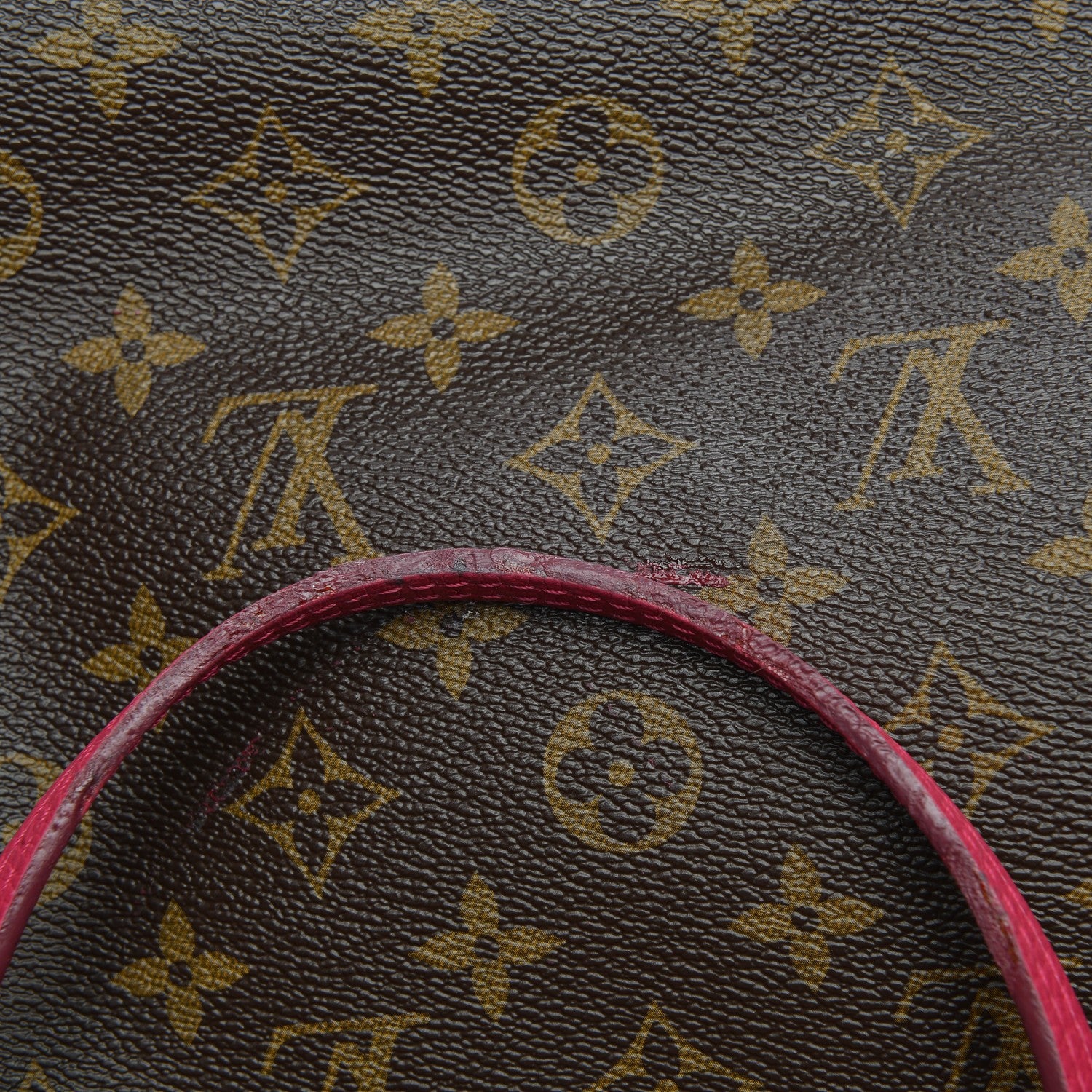 Louis Vuitton Monogram Articles de Voyage Ikat Neverfull GM Rose Indien 11 of 12