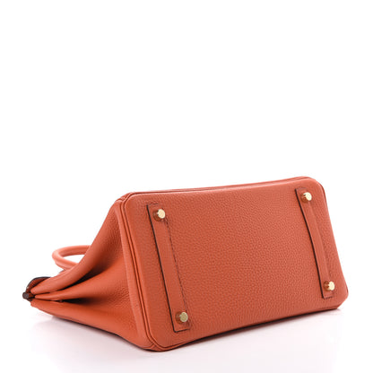 Hermes Togo Birkin 30 Terre Battue 3 of 13