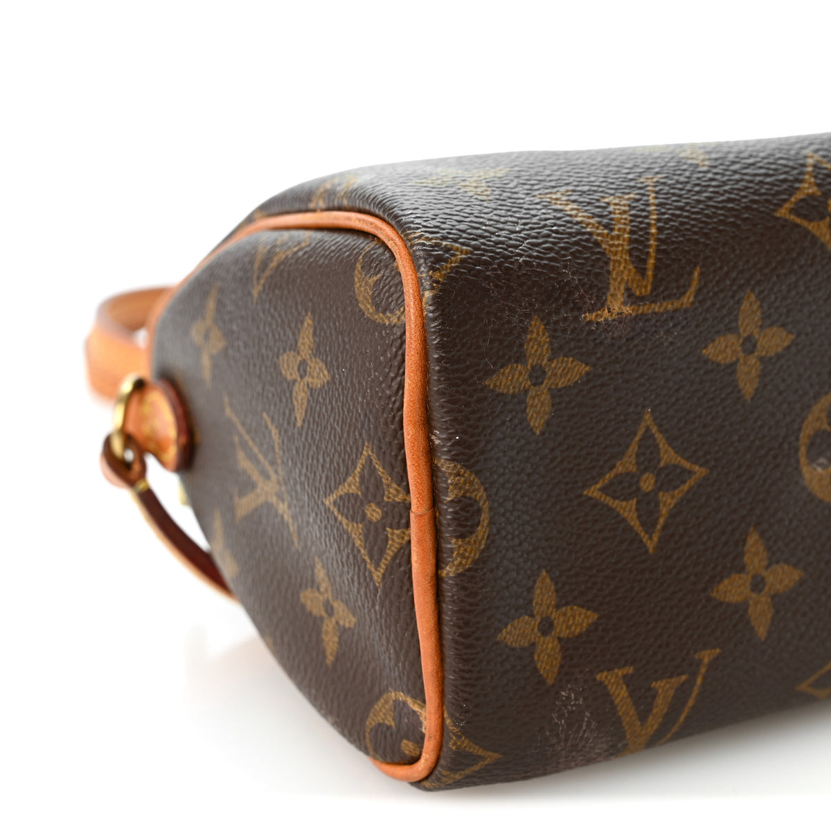 Monogram Nano Speedy