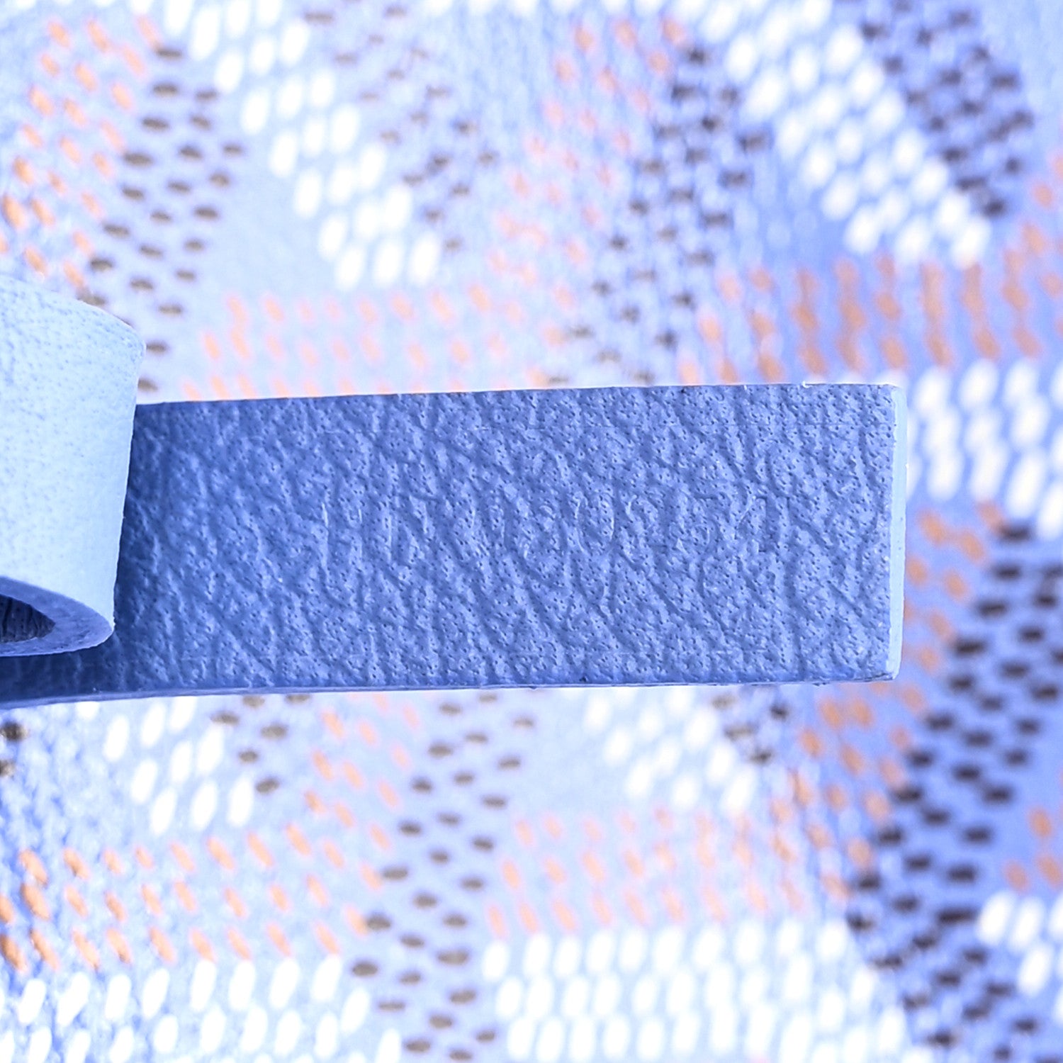 Goyard Goyardine Le Jardin Saint Louis PM Iris 8 of 11