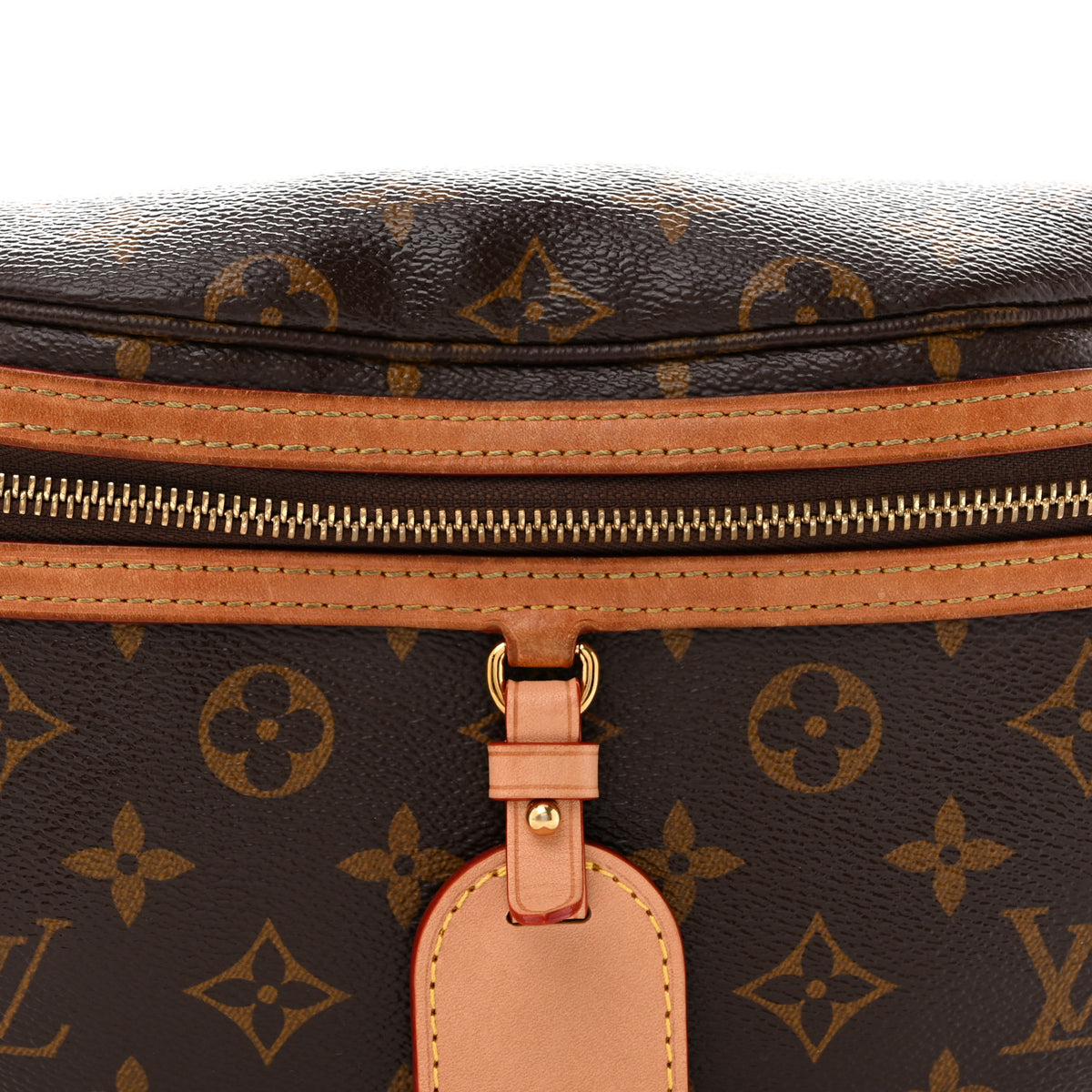Louis Vuitton Monogram High Rise Bumbag 13 of 25