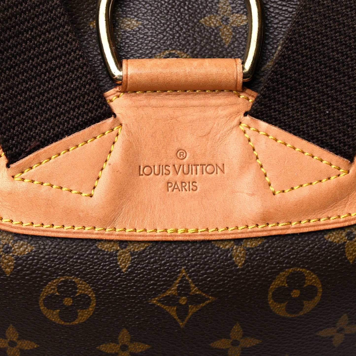 Monogram Montsouris GM Backpack