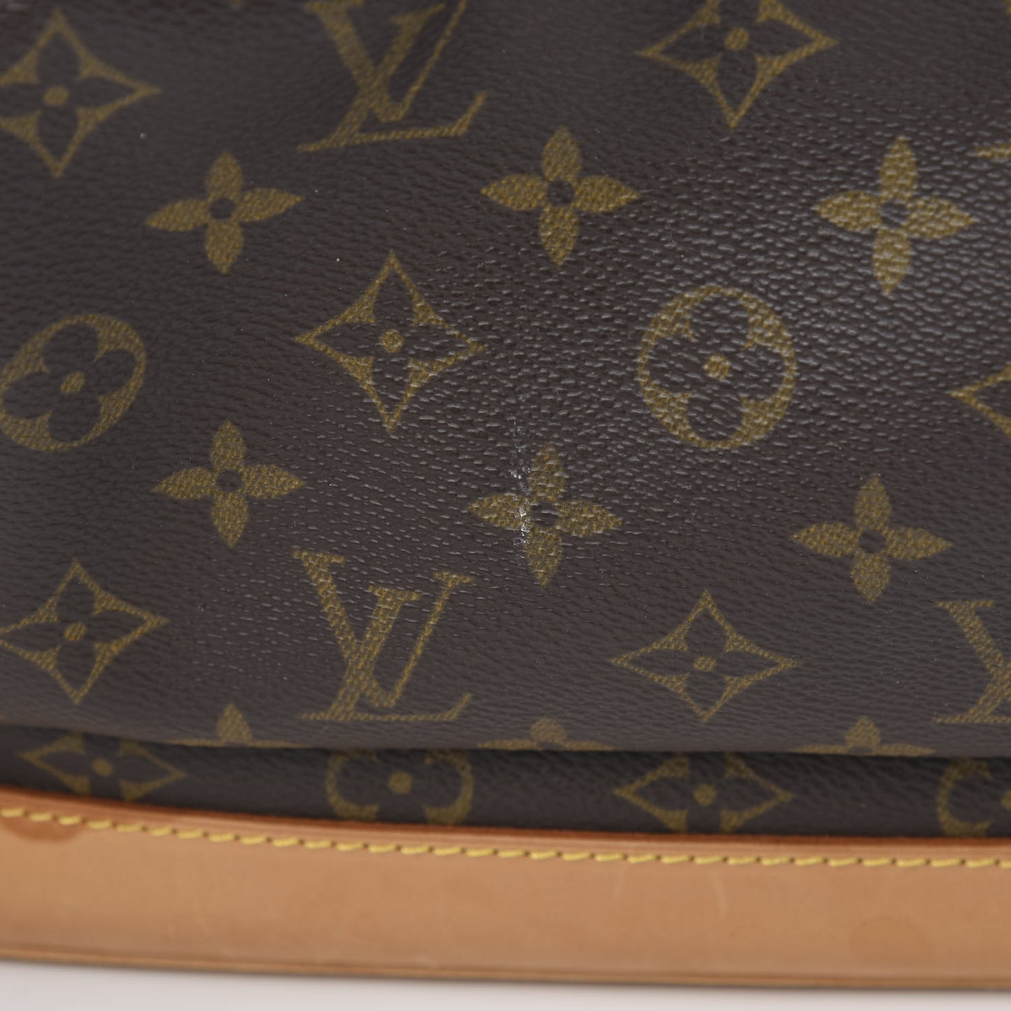 Monogram Montsouris GM Backpack