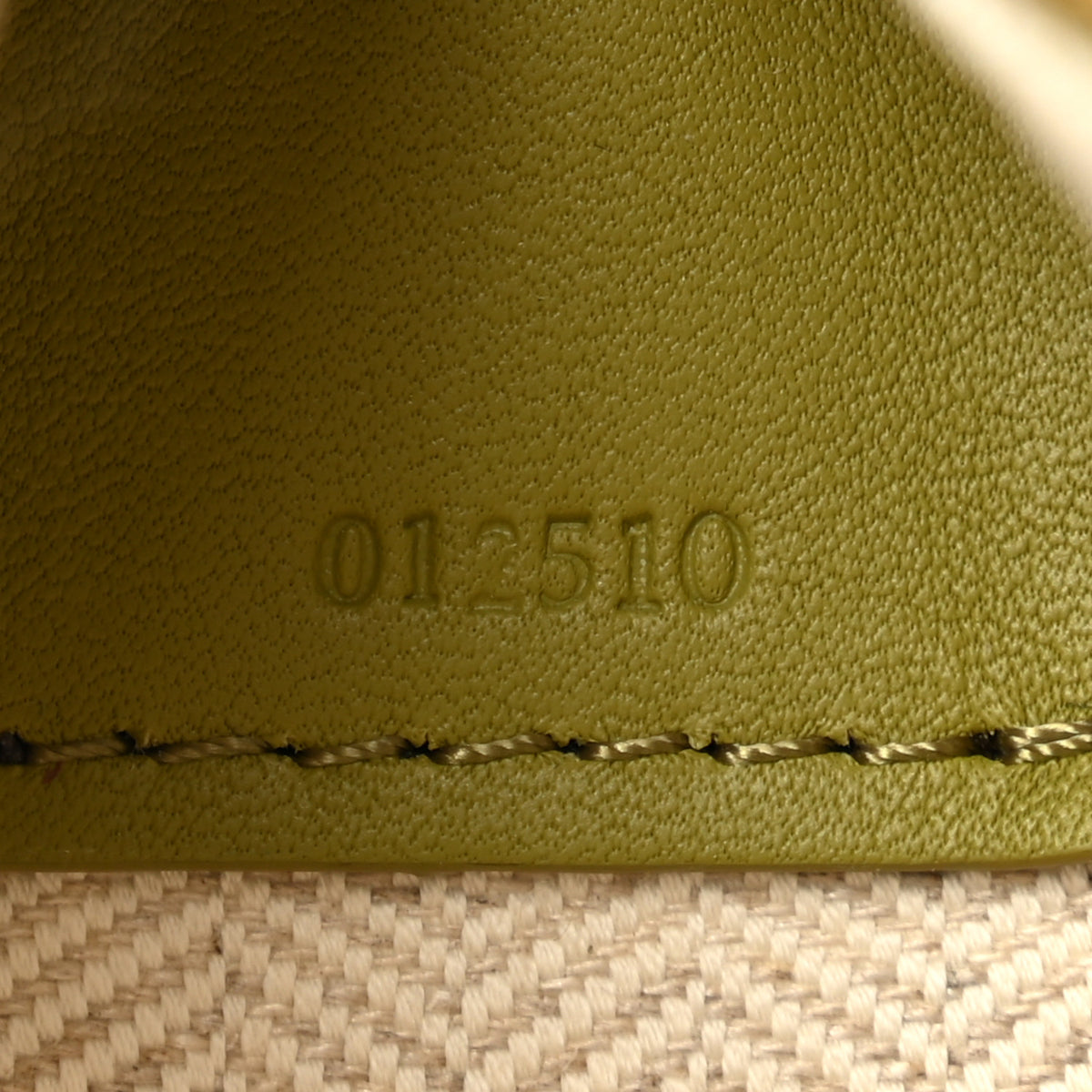 Calfskin Mini Hammock Hobo Light Moss