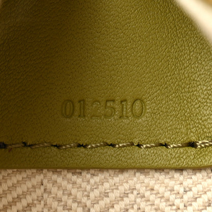 Loewe Calfskin Mini Hammock Hobo Light Moss 7 of 11