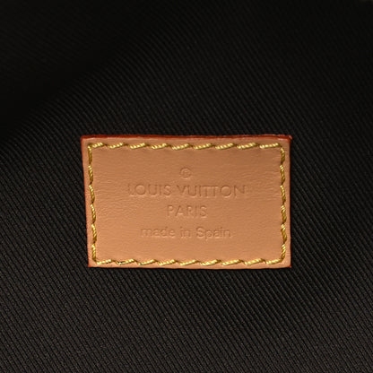 Louis Vuitton X TYLER THE CREATOR Monogram Craggy Rush Bumbag 6 of 10