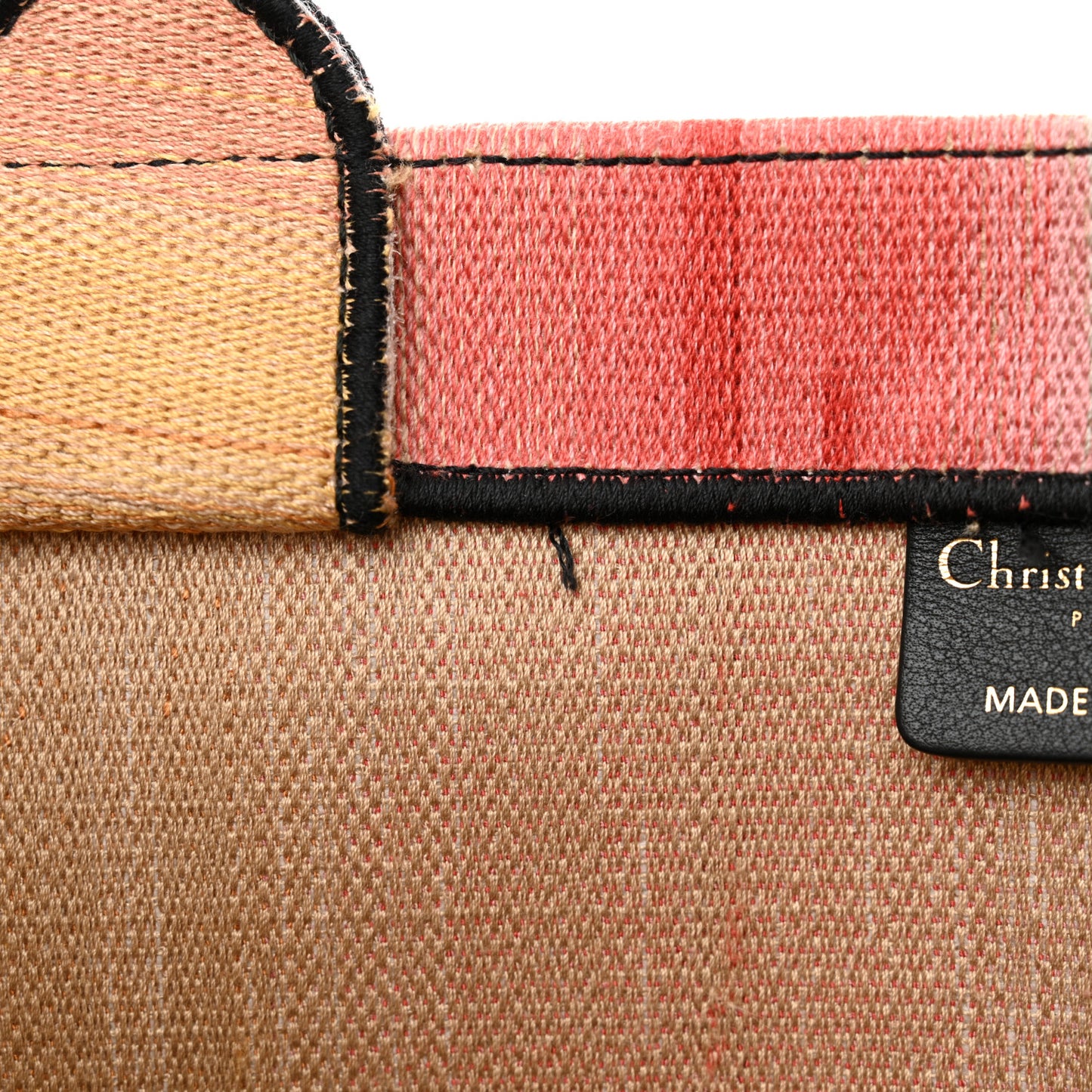 Canvas Embroidered Medium Dioraura Book Tote Multicolor