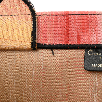 Christian Dior Canvas Embroidered Medium Dioraura Book Tote Multicolor 11 of 18