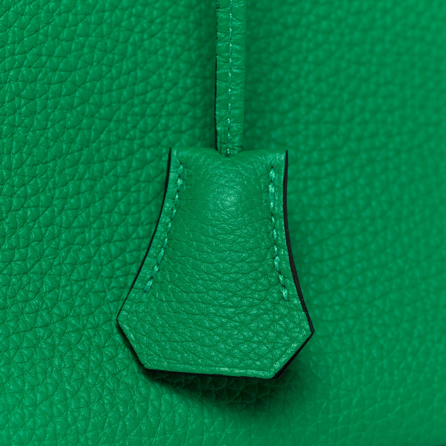 Togo Verso Birkin 25 Menthe Vert Bosphore