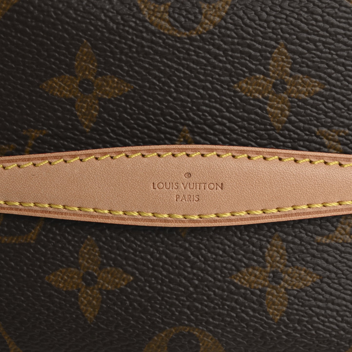 Monogram Nano Nice