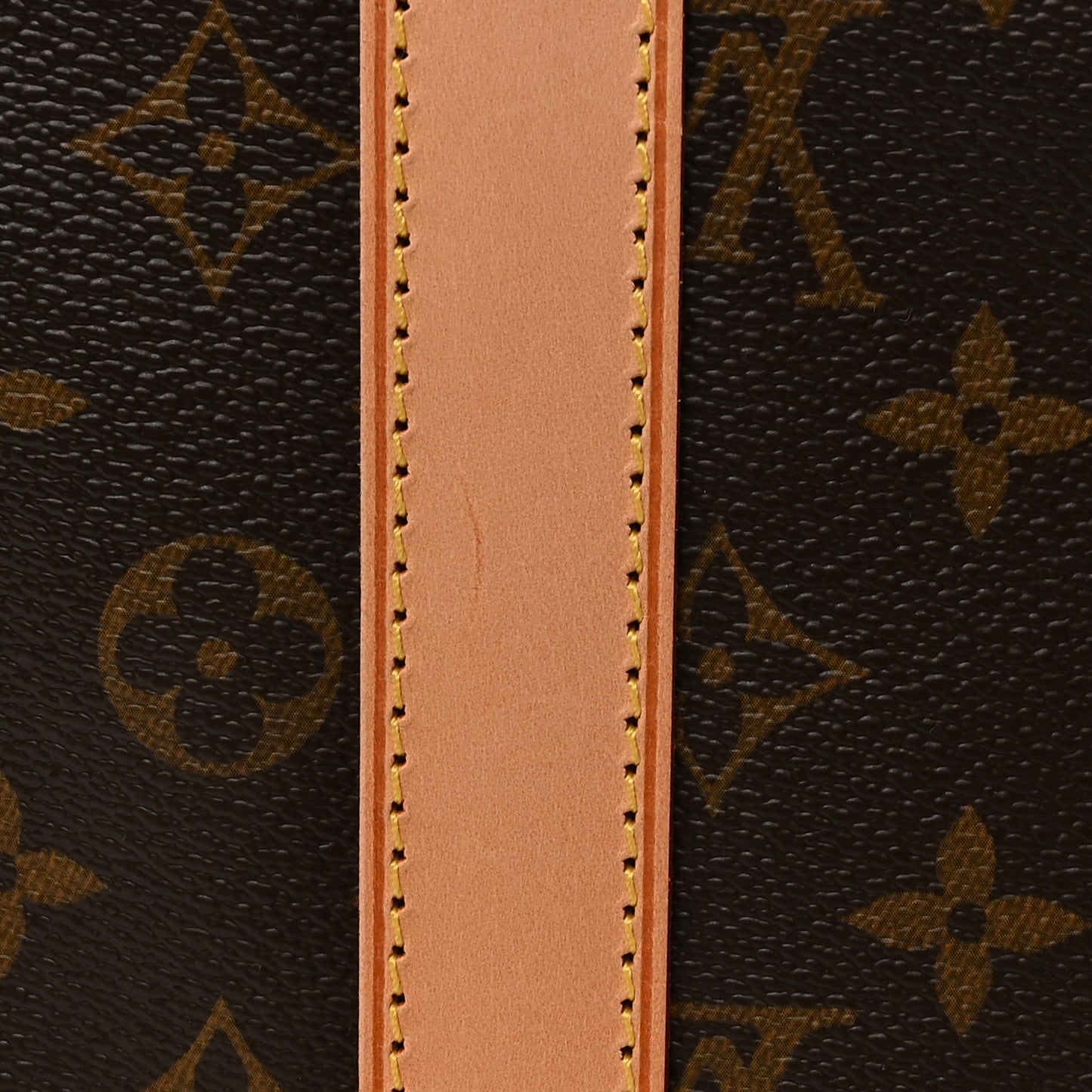 Monogram Sac Chien 40 Pet Carrier