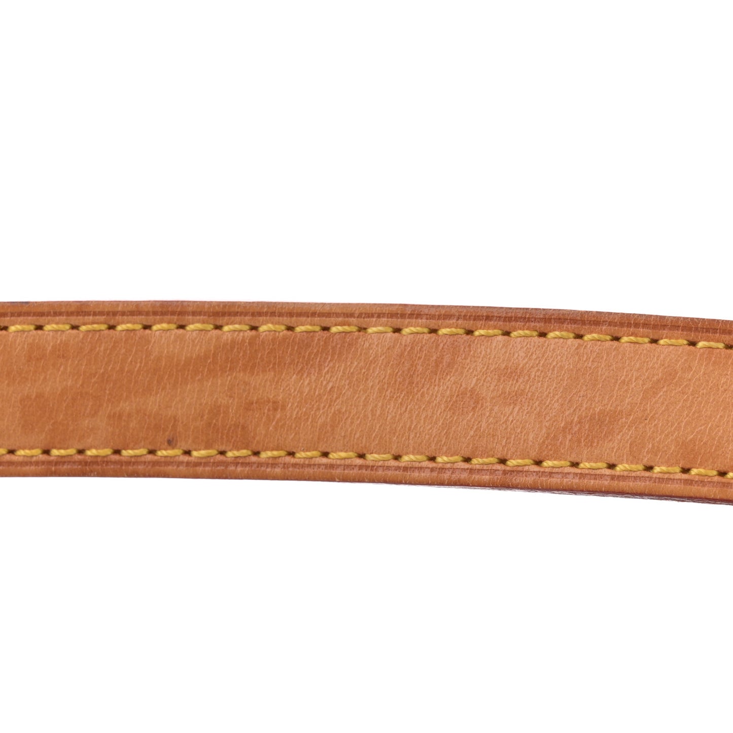 Monogram Multicolor Sologne Black