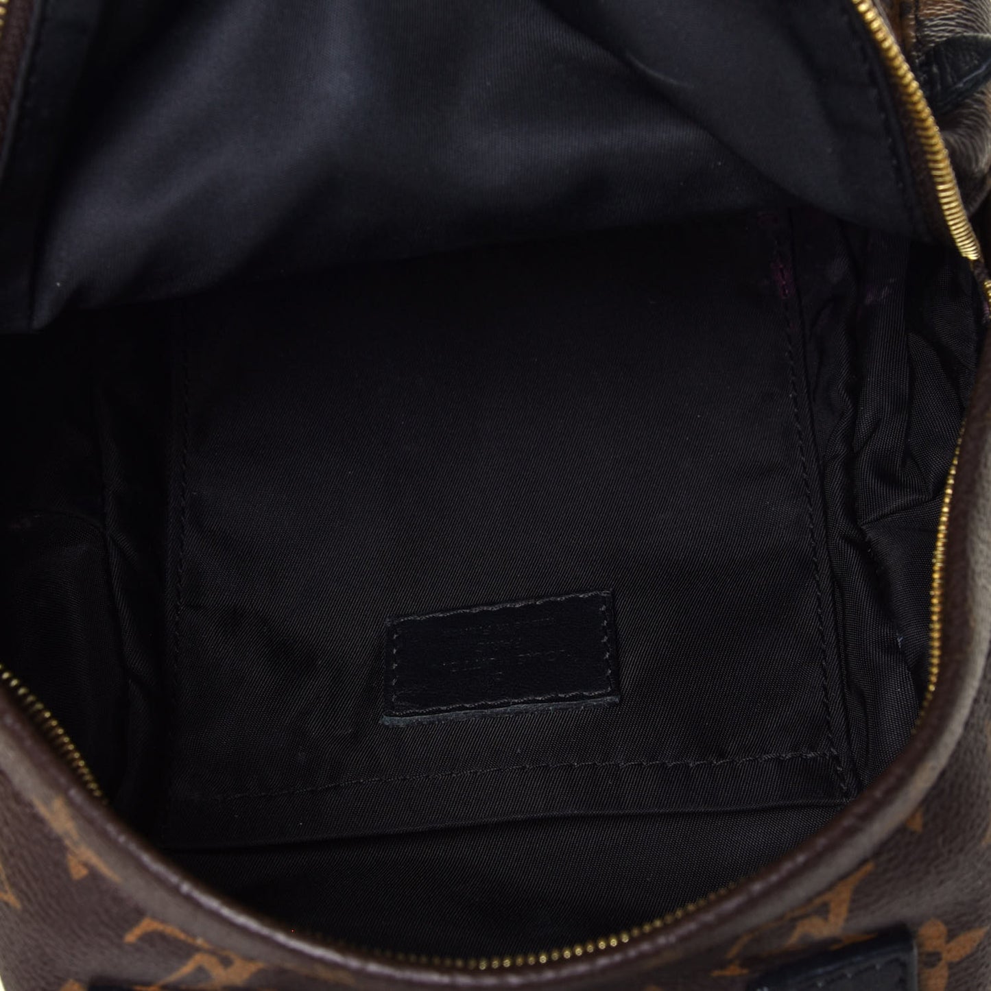 Monogram Palm Springs Backpack Mini
