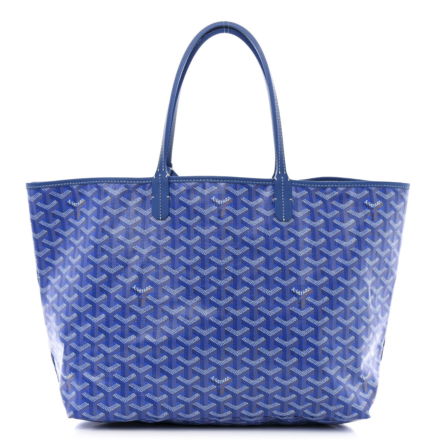 Goyard Goyardine Saint Louis PM Sky Blue 1 of 11
