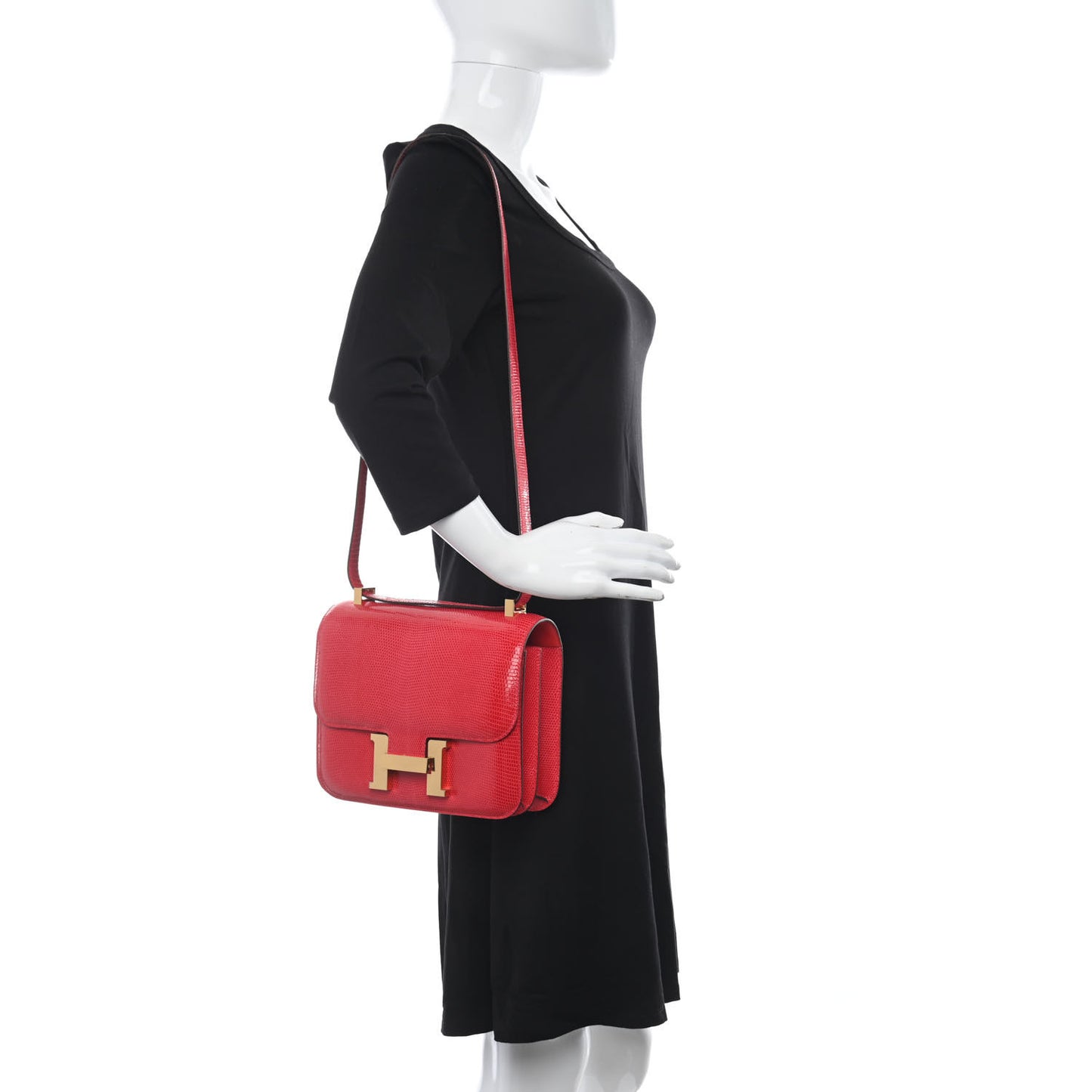 Lizard Constance 24 Rouge Exotique