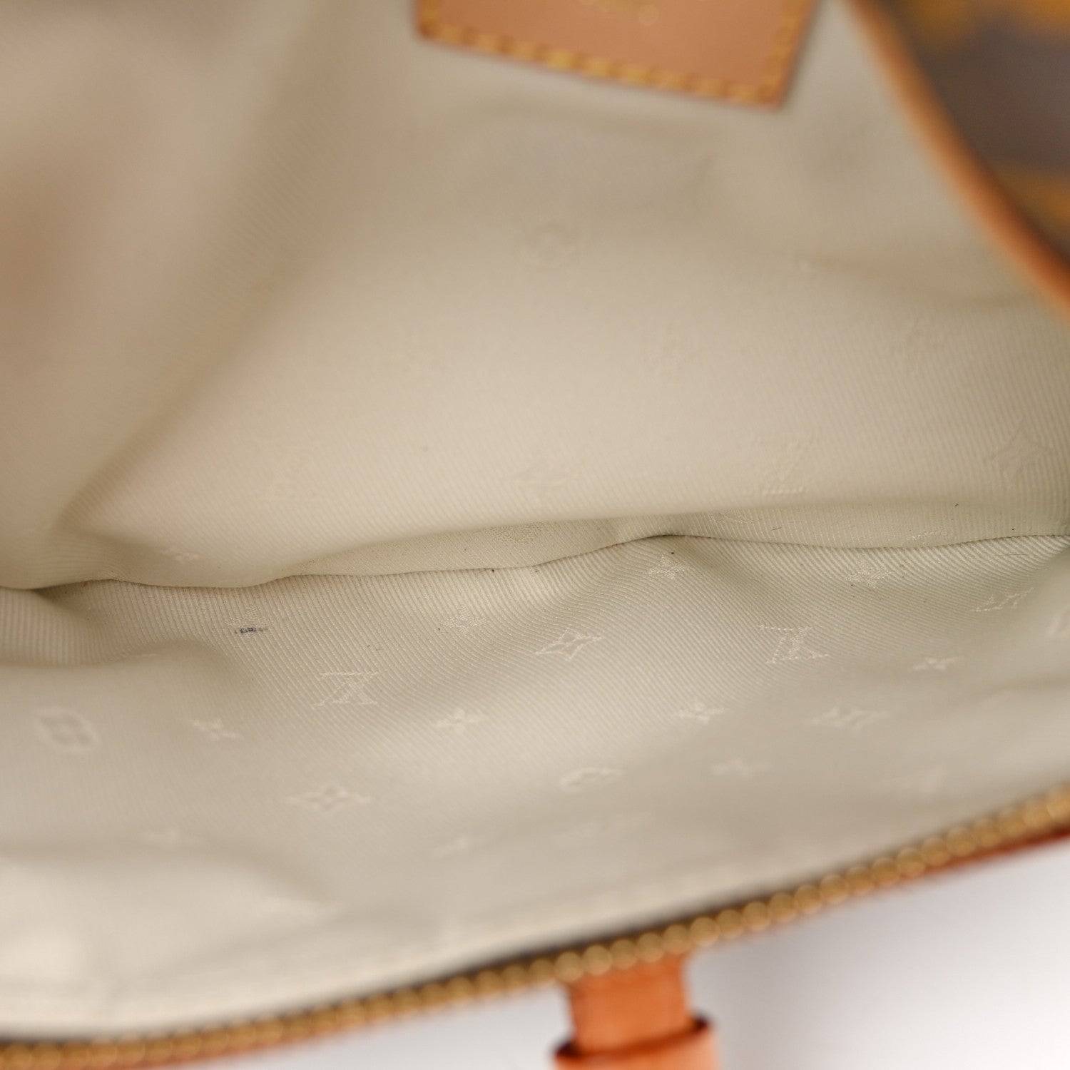 Louis Vuitton Monogram High Rise Bumbag 4 of 14