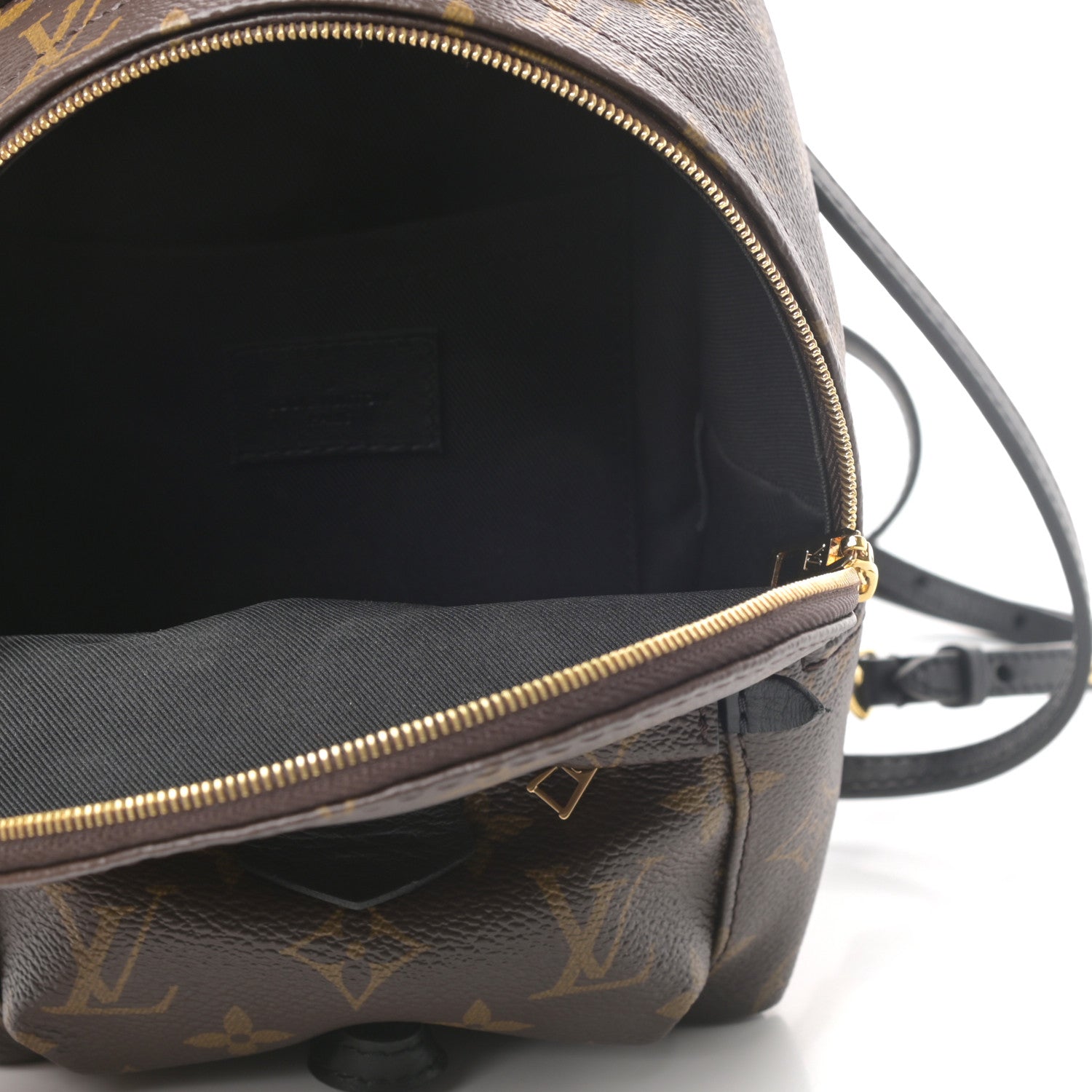 Louis Vuitton Monogram Palm Springs Backpack Mini 5 of 9