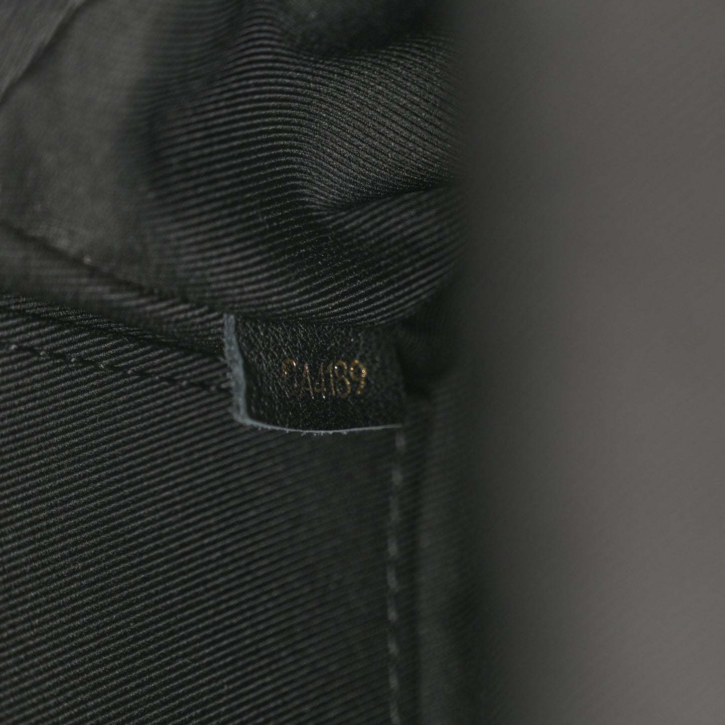 Monogram Palm Springs Backpack Mini