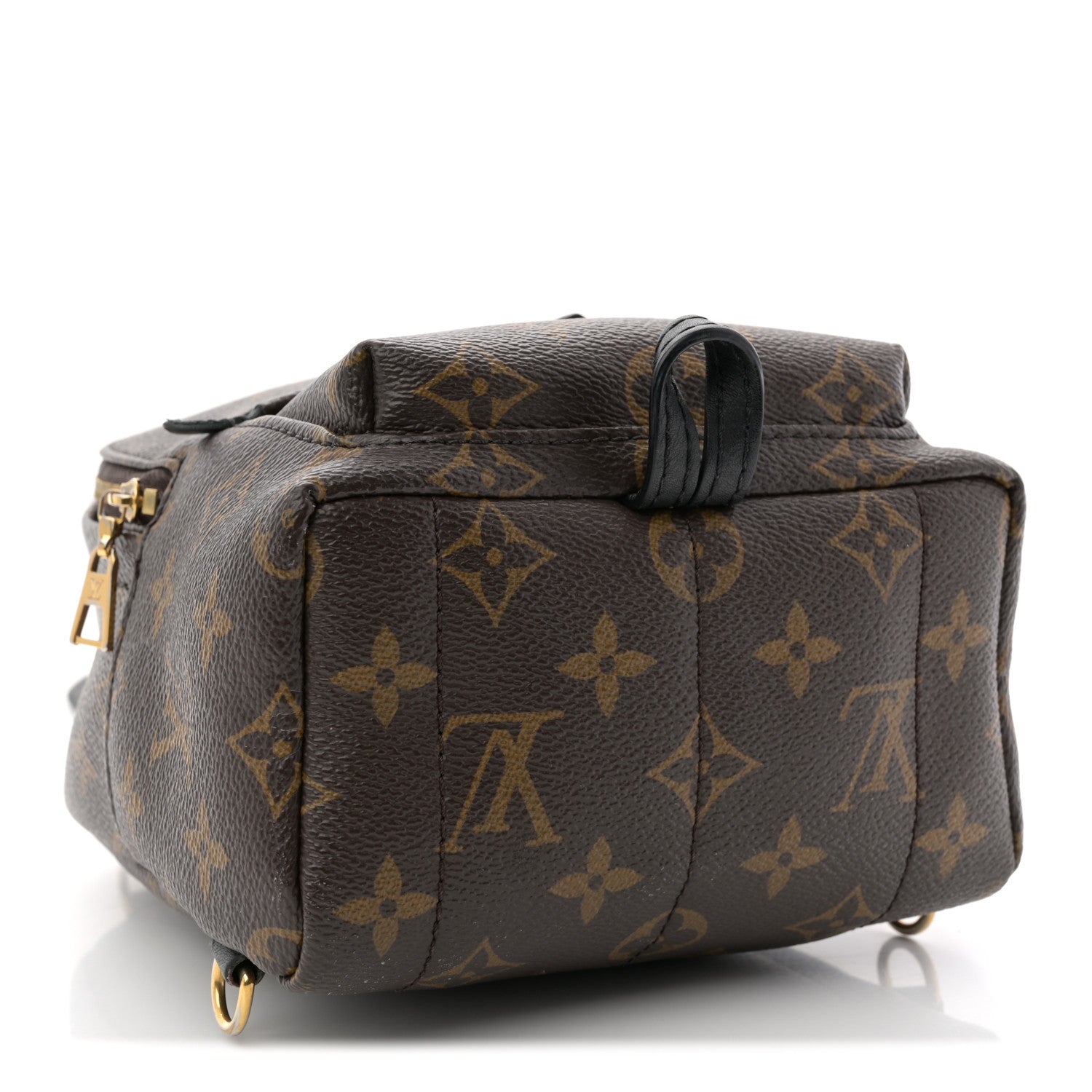 Louis Vuitton 2020 Monogram Palm Springs Mini