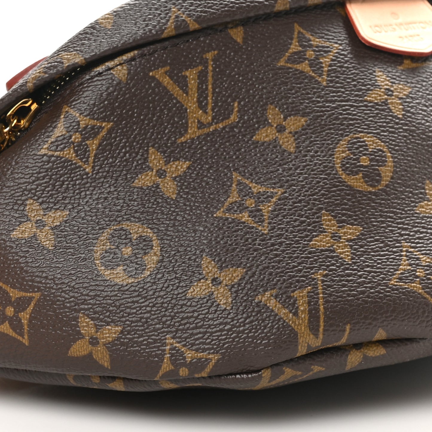 Monogram Bumbag