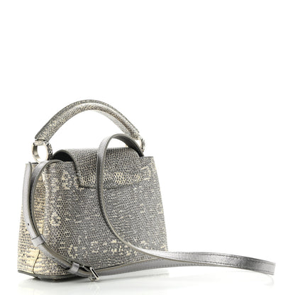 Louis Vuitton Lizard Mini Capucines Argento 3 of 16