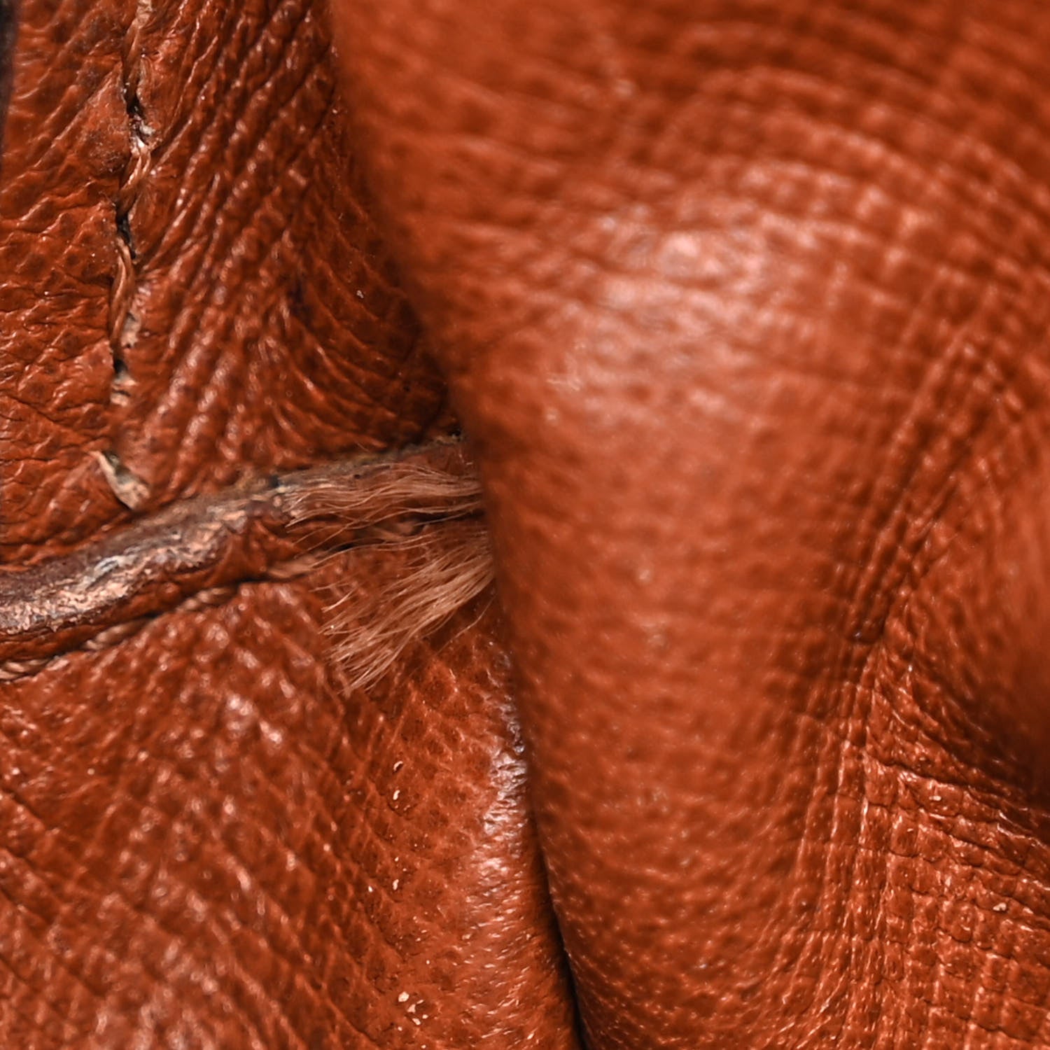 Louis Vuitton Monogram Amazone 9 of 16