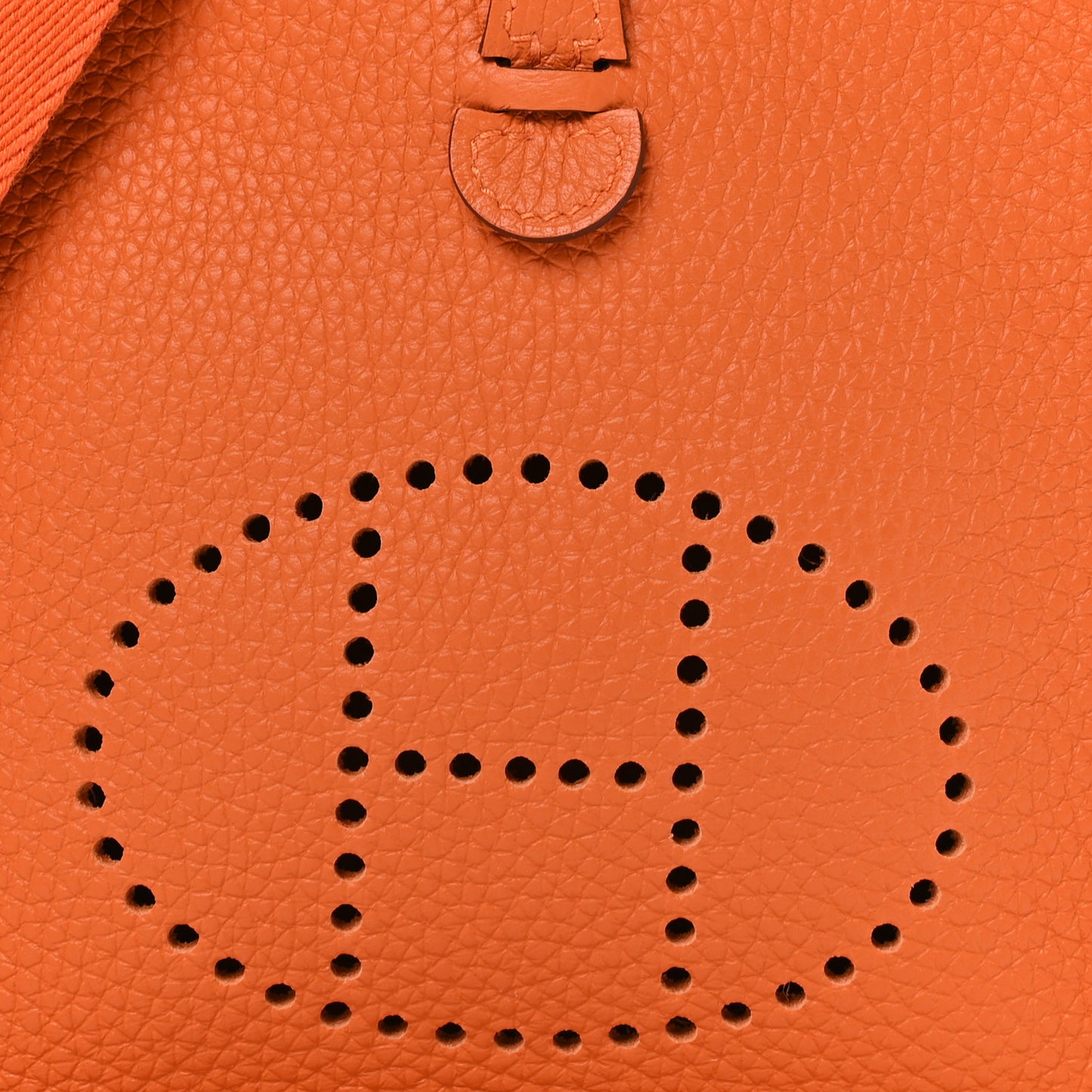 Taurillon Clemence Evelyne TPM Orange