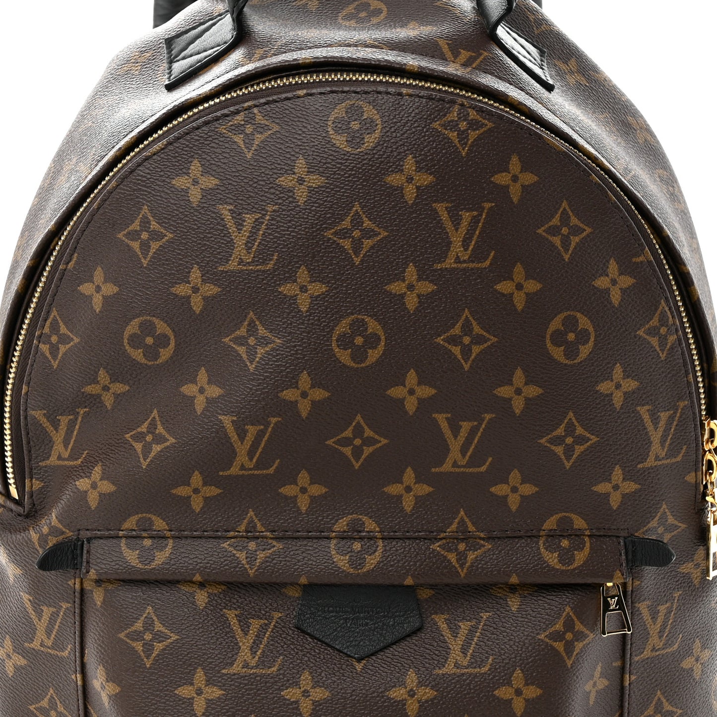 Monogram Palm Springs Backpack MM