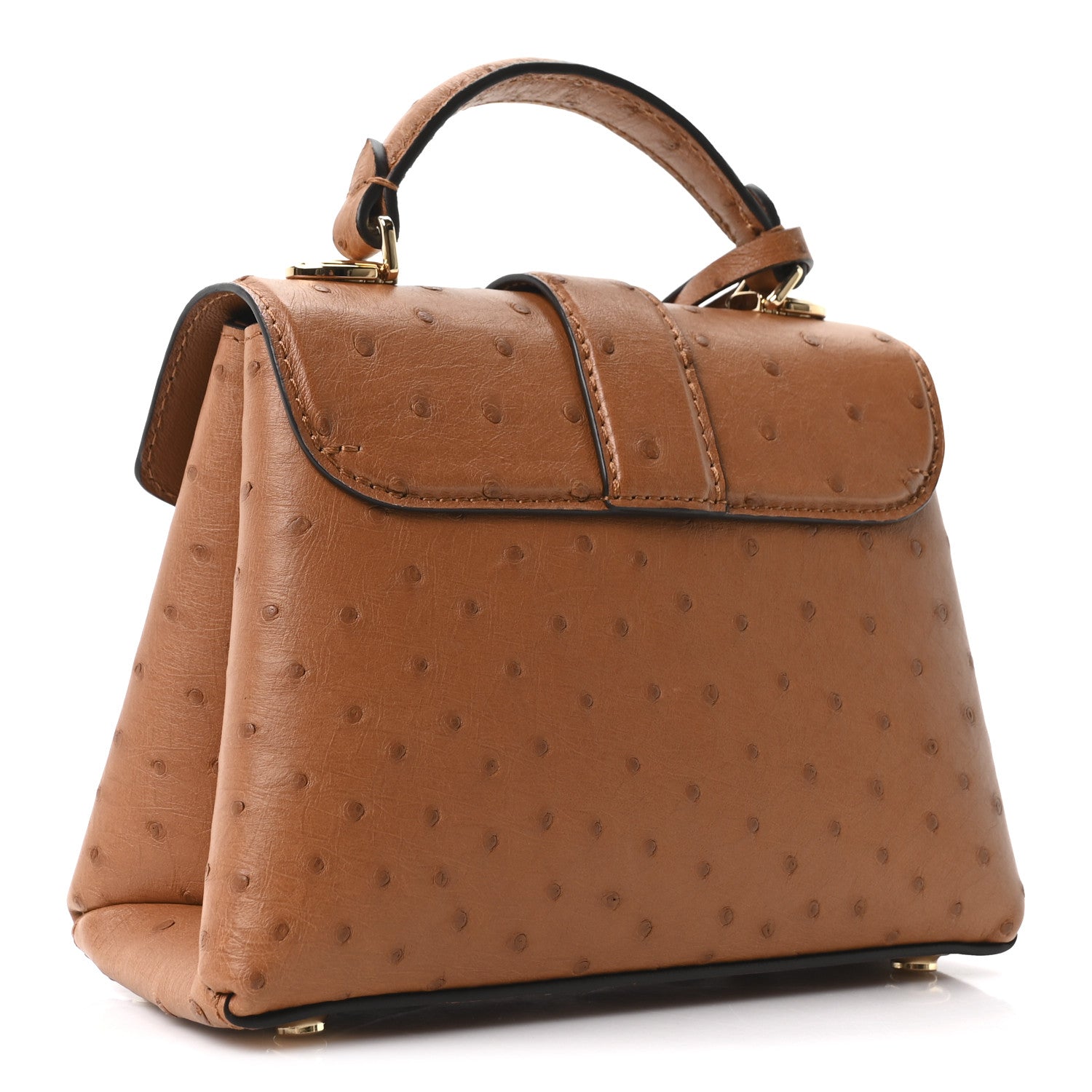 Louis Vuitton Ostrich Rose Des Vents Mini Cognac 4 of 11